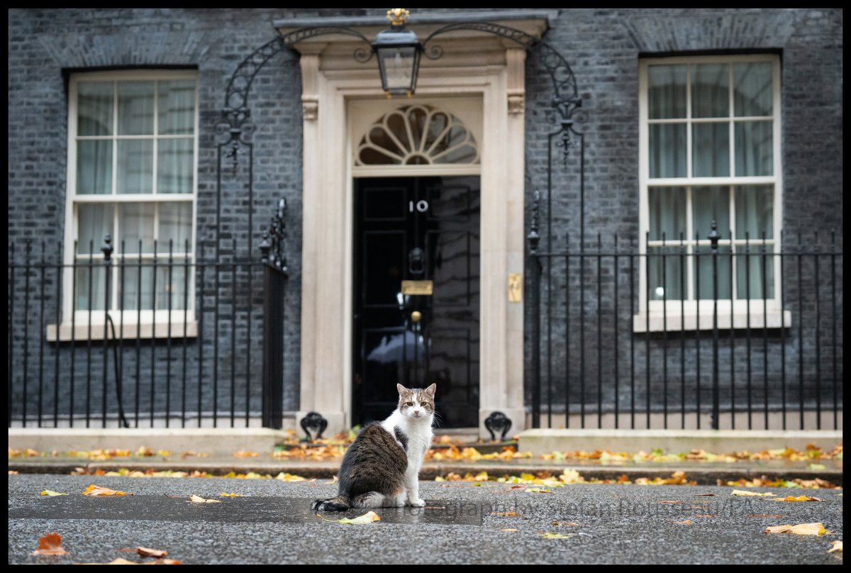 StefanRousseau's tweet photo. Photo du Jour (West End Final): @Number10cat waits outside his home in central London. By Stefan Rousseau/PA https://t.co/ebeJLwedWt