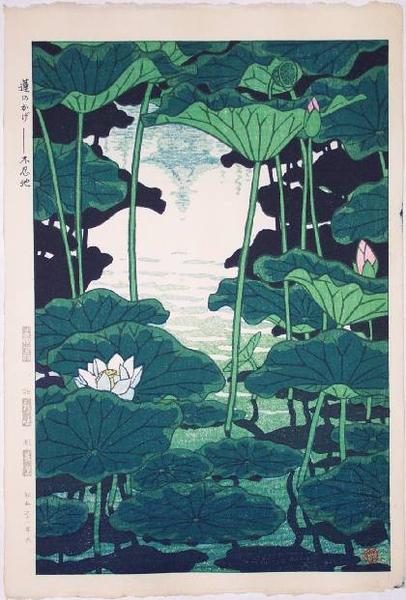 Shade of the Lotus, Shinobazu Pond, by Kasamatsu Shiro, 1956

#shinhanga