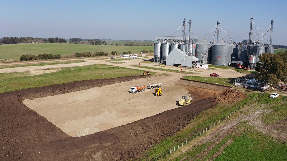 Greising y Elizarzú tweet media