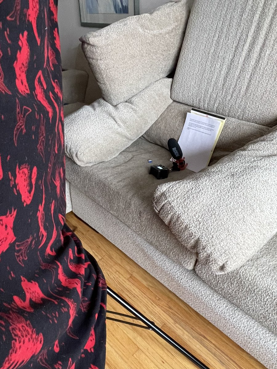 Recording a voiceover at home? No problem. Here’s a home audio studio inspired by <a href="/JeremyCopeland1/">Jeremy Copeland</a> 

#dinosaurblanket ✅
#couchcushions   ✅
#havingfun PRICELESS