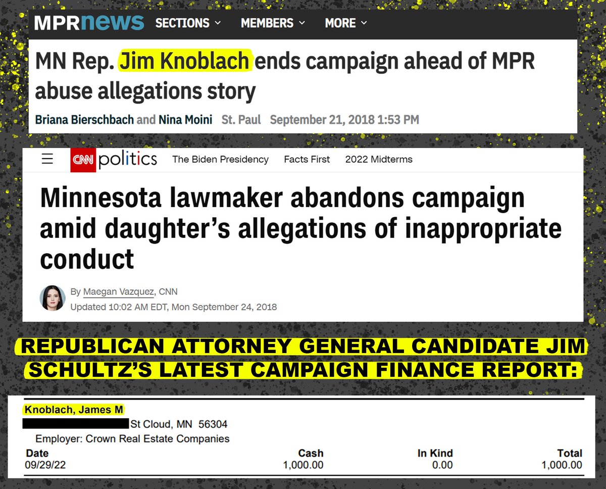 Minnesota DFL tweet media