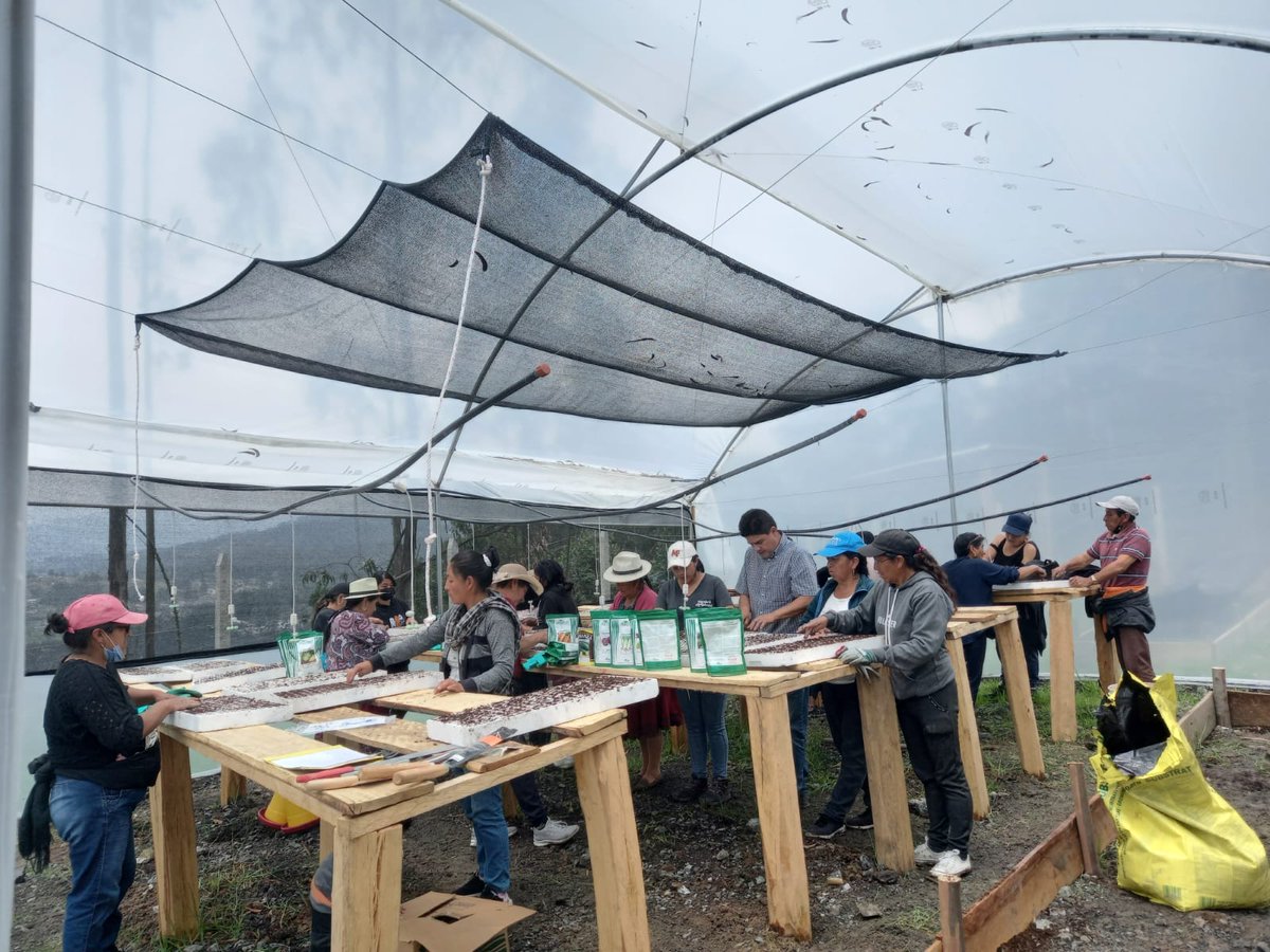 LisCarcelen's tweet photo. En cumplimiento de convenio MAG-GAD Sidcay se realiza siembra para obtencion de 11800 plantulas de hortalizas para beneficio de productores de la parroquia en sector San Jose. https://t.co/6rDCf1cjOw