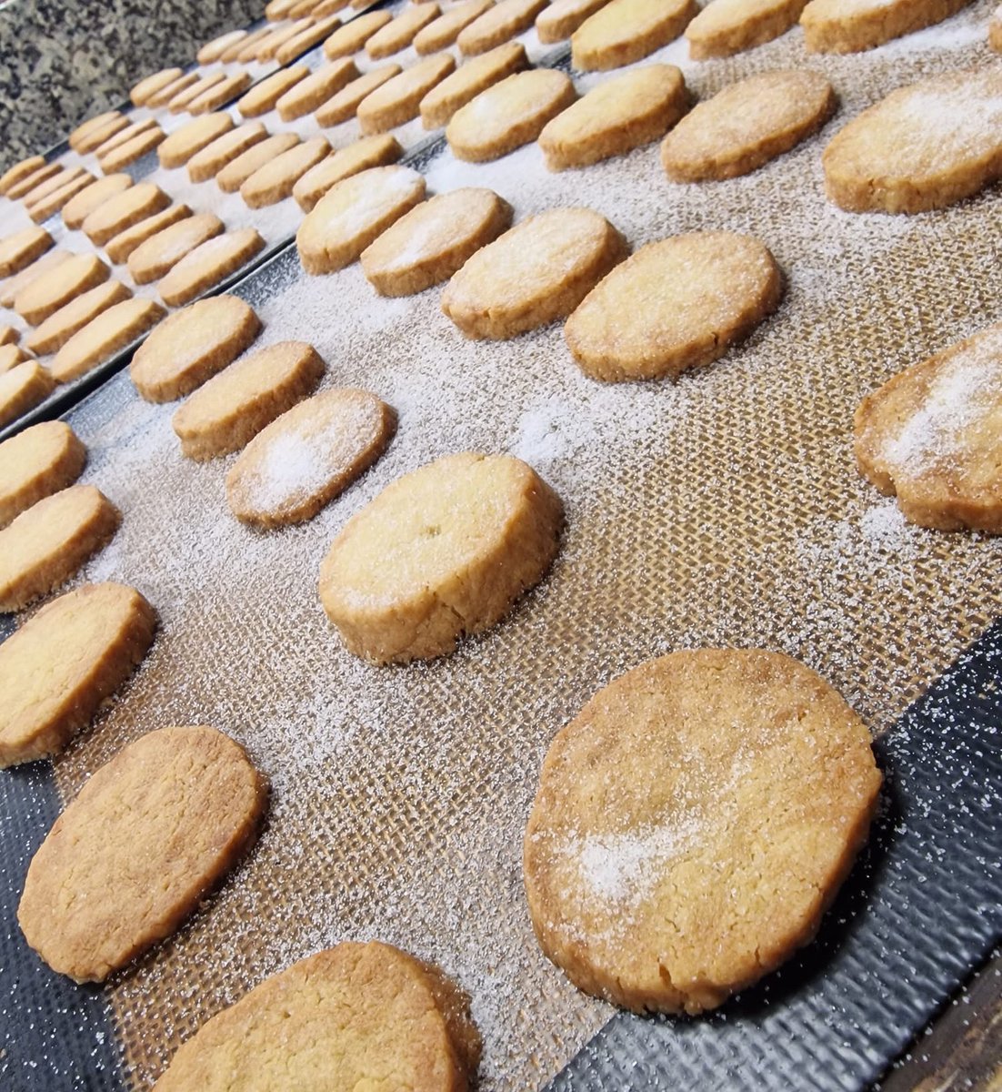 Biscuits baking for you dear wild ones of Salisbury!

We’re back open tomorrow - hope to see you for our Hot Drink &amp; Cake deal (only £6!) or for a delicious meal or perhaps a cheeky drink.

#mmm #homemade #bakinglove #salisbury #wiltshire #highstreet