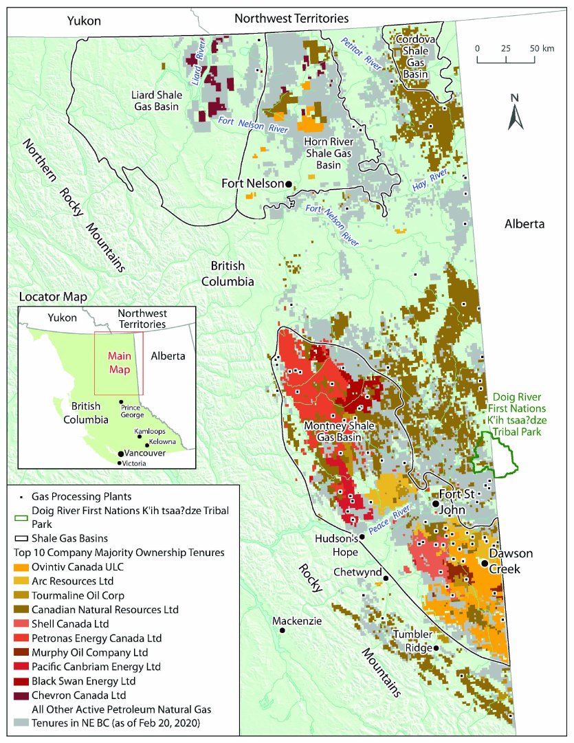 drulips's tweet photo. @Dave_Eby You're soooo caring except for when the Wet'suwet'en resist your climate destroying #CGL fracking pipeline, shoved violently through their unceded territory. Or when youth save old growth. With the fossil fuel NDP its profit before people. https://t.co/NNYNs4Aywr