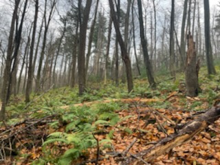 Val LaMore tweet media