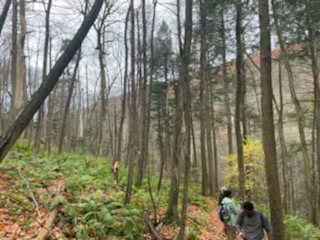 Val LaMore tweet media