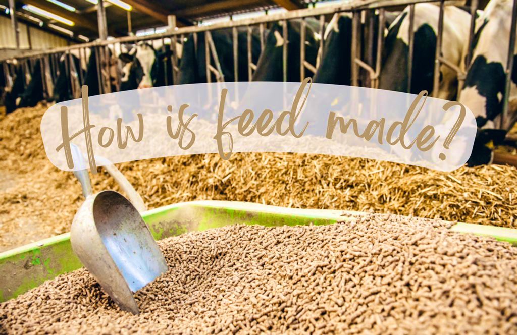 There are four basic steps to this process:
1- Raw ingredients are received, weighed, tested and analyzed.
2- Balanced formula diet for each species is developed.
3- Ingredients are mixed together to form feed.
4- Manufacturers bag, label, and ship the product accordingly.
#CAO22