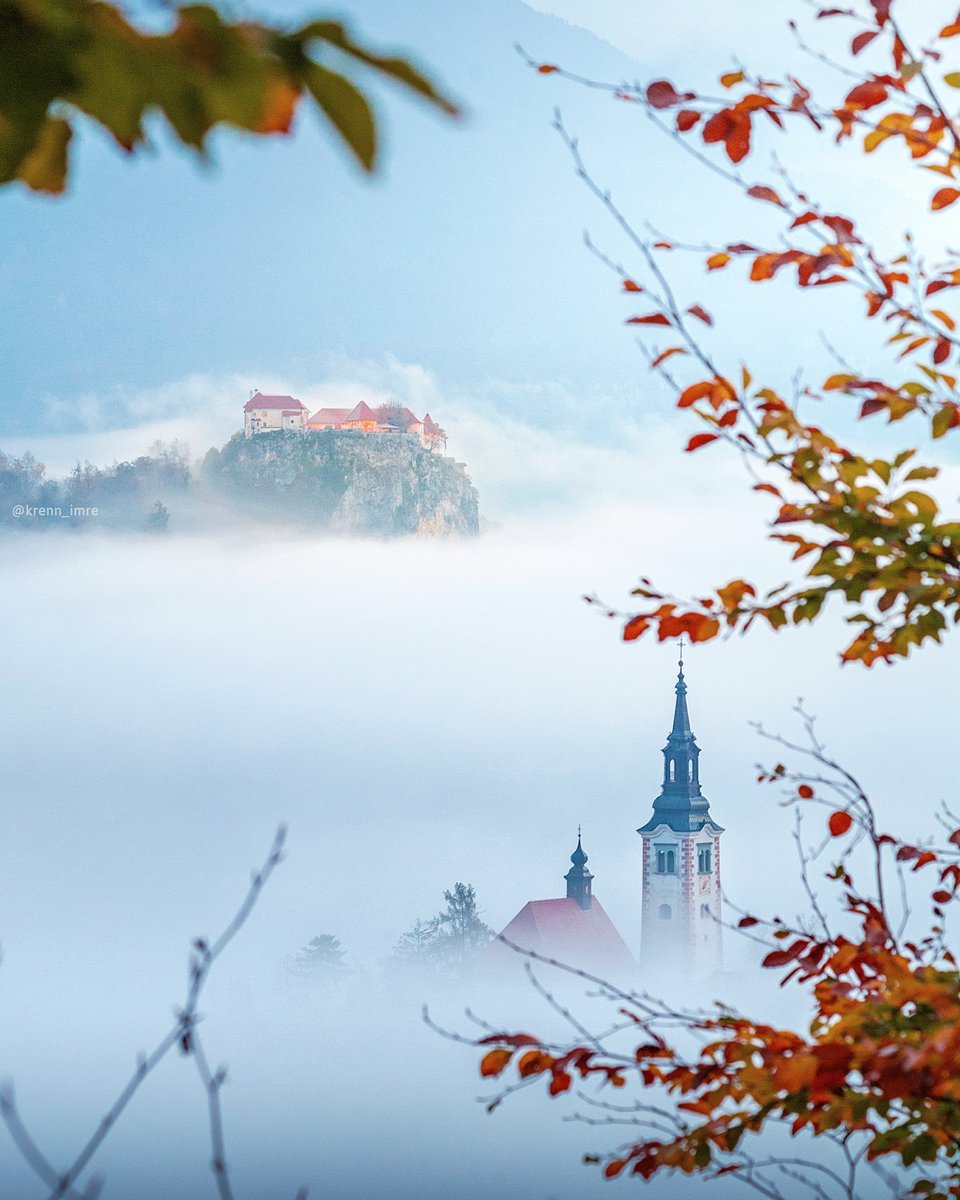 A morning miracle from Bled, Slovenia 🇸🇮