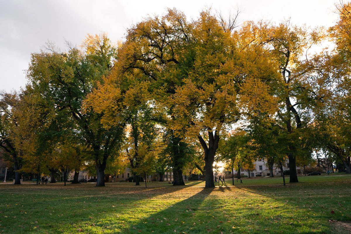Tweet by Colorado State University