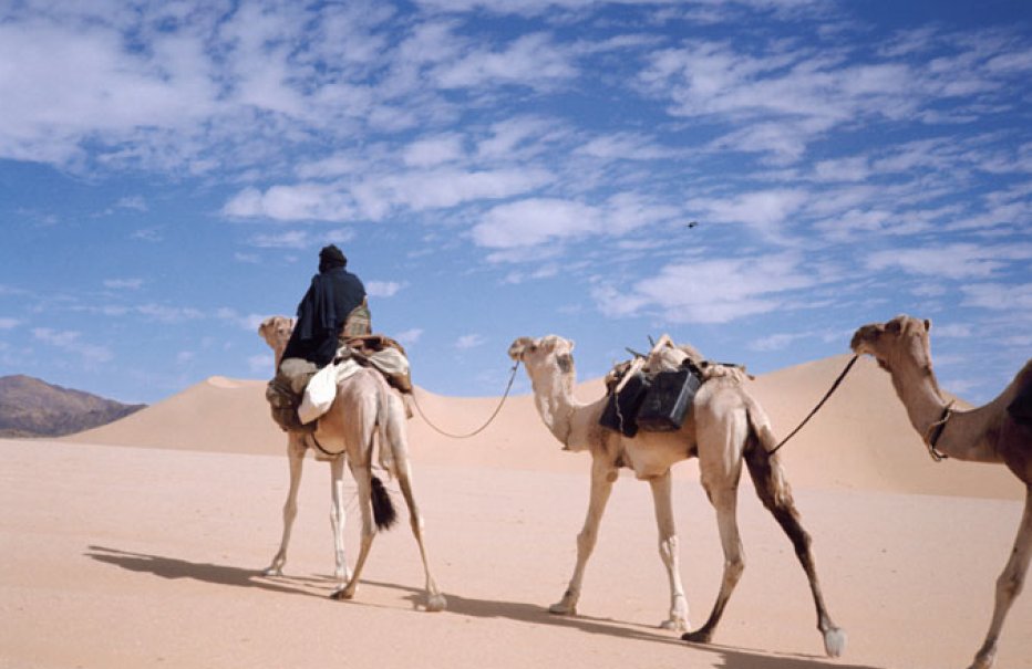 En 1970 un equipo de arqueólogos y geológos atravesaron el Sáhara y se encontraron un mundo perdido en medio del desierto. Acompañadme y os lo cuento en este hilo:->