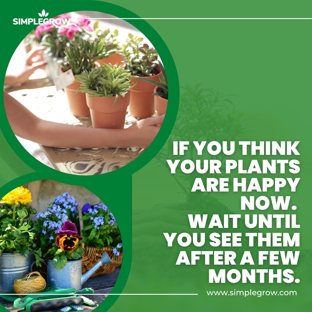 Simple Grow tweet media