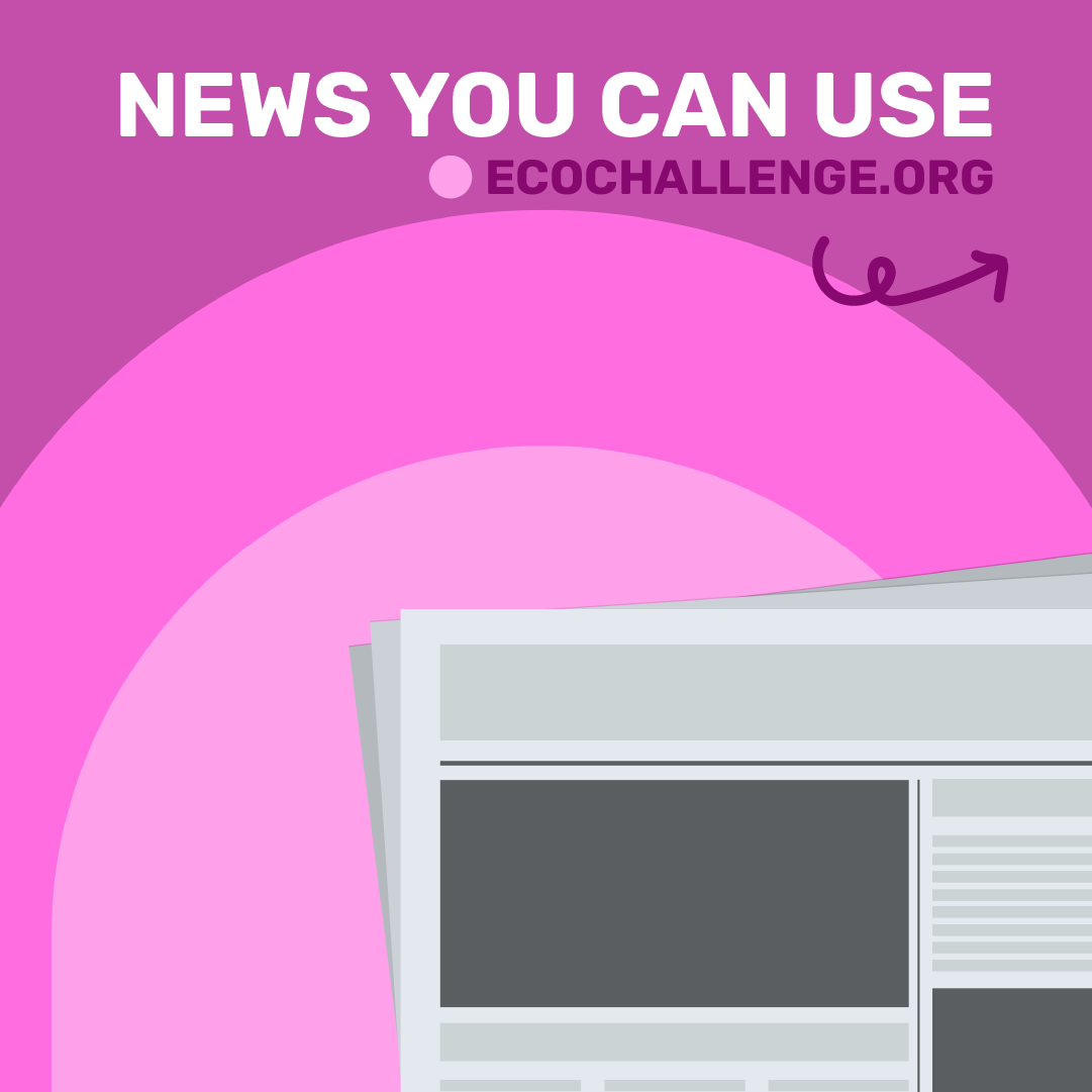 Ecochallenge.org tweet media