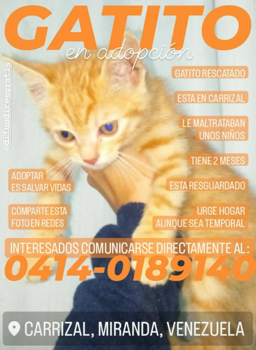 PerroUsuario's tweet photo. #EnAdopciónResponsable Carrizal Miranda https://t.co/4HE2KNuaH5