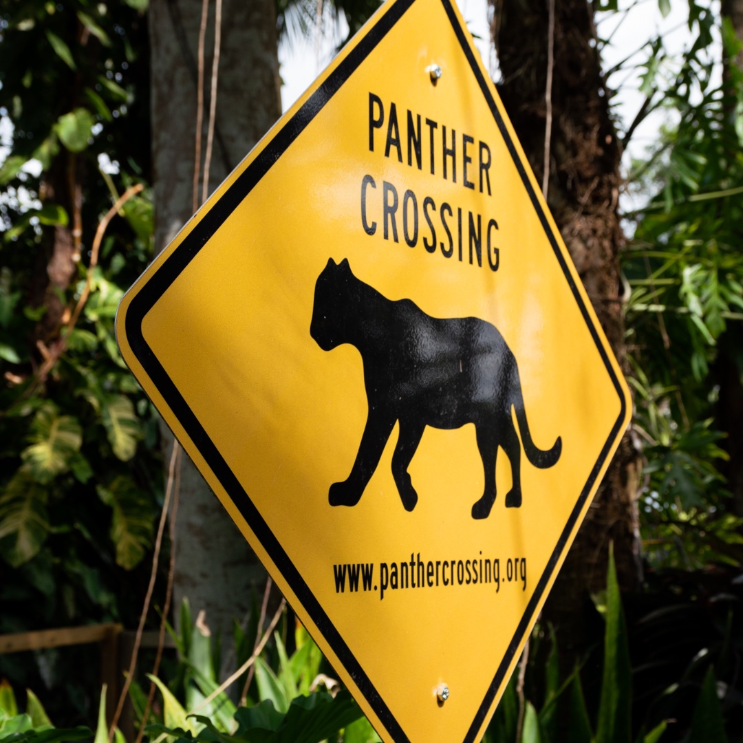 Naples Zoo tweet media