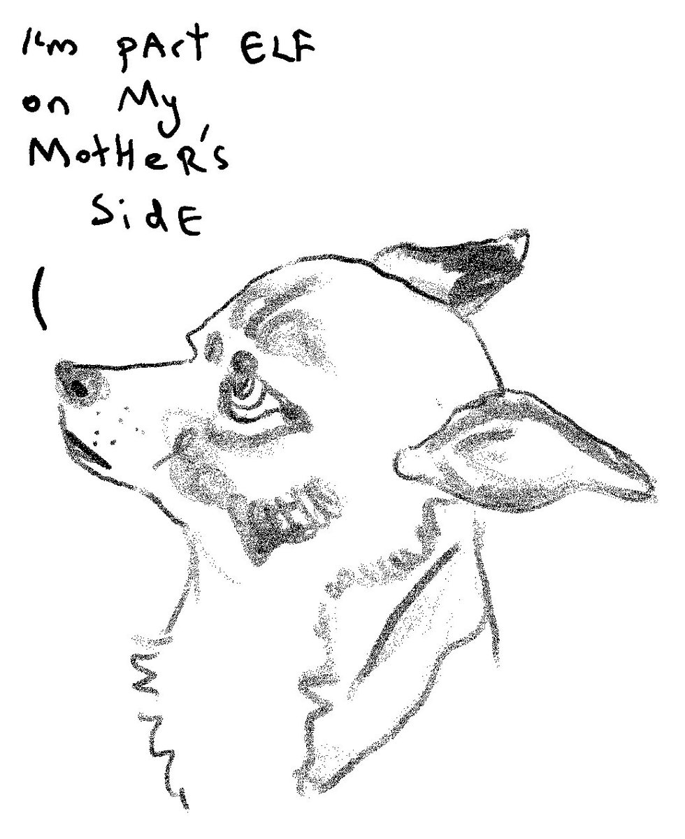 Mostly Dogs tweet media