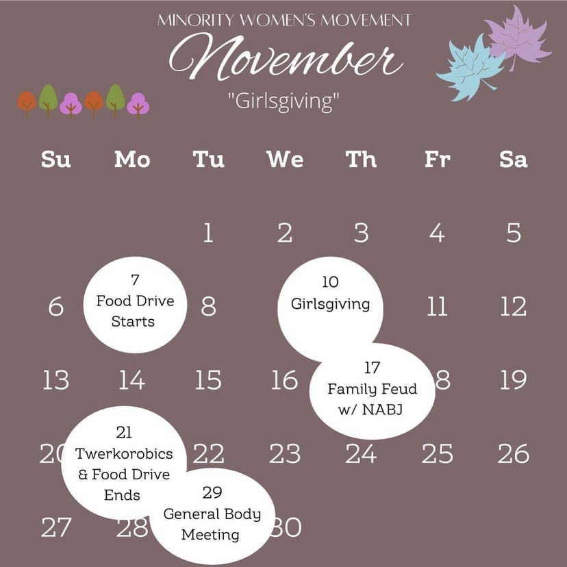 Minority Women's MVMT tweet media