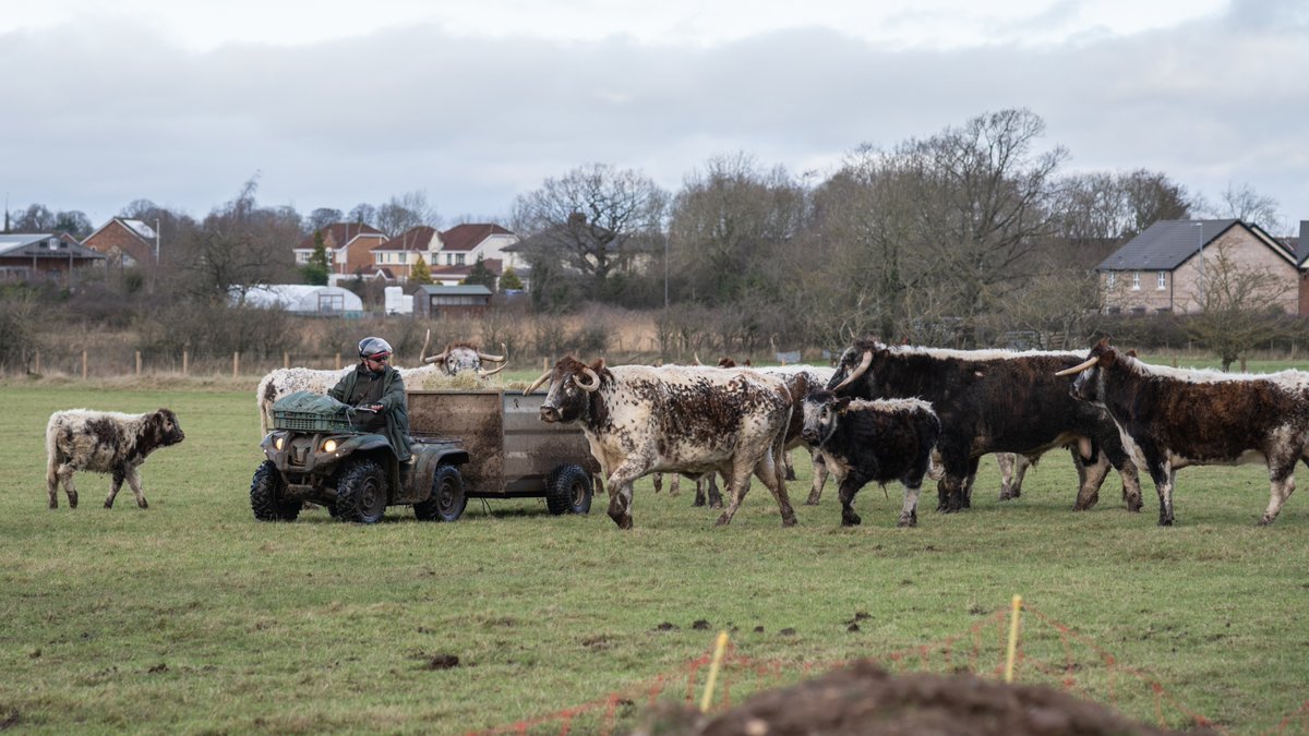 #fortyfarms Susans Farm Latterly, the farm has become a refuge and lifeline for some of the county’s most vulnerable young people.