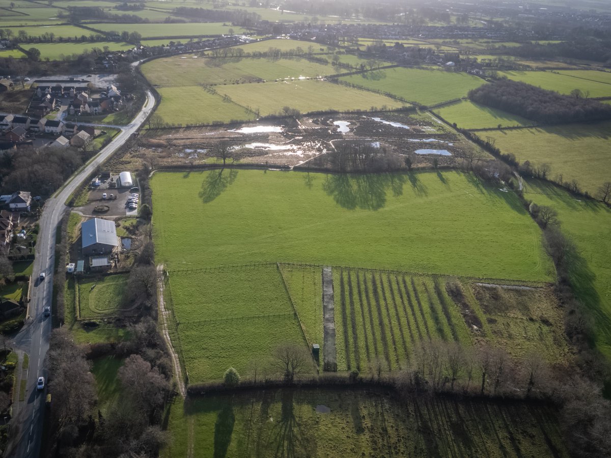 #fortyfarms Susans Farm Entering the Sustainable Farm Incentive (SFI) to increase funding, she's planting shelterbelt hedges, fruit trees & a plug plant every m/sq in the wildlife meadow; she has gifted a nearby pocket of land, vulnerable to development, to Cumbria Wildlife Trust