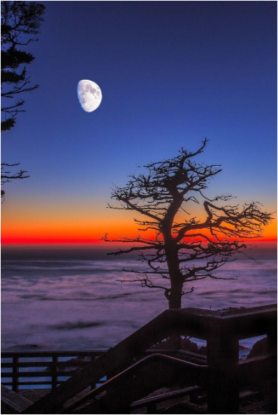 VieNatureSavoir's tweet image. good night ✨💜