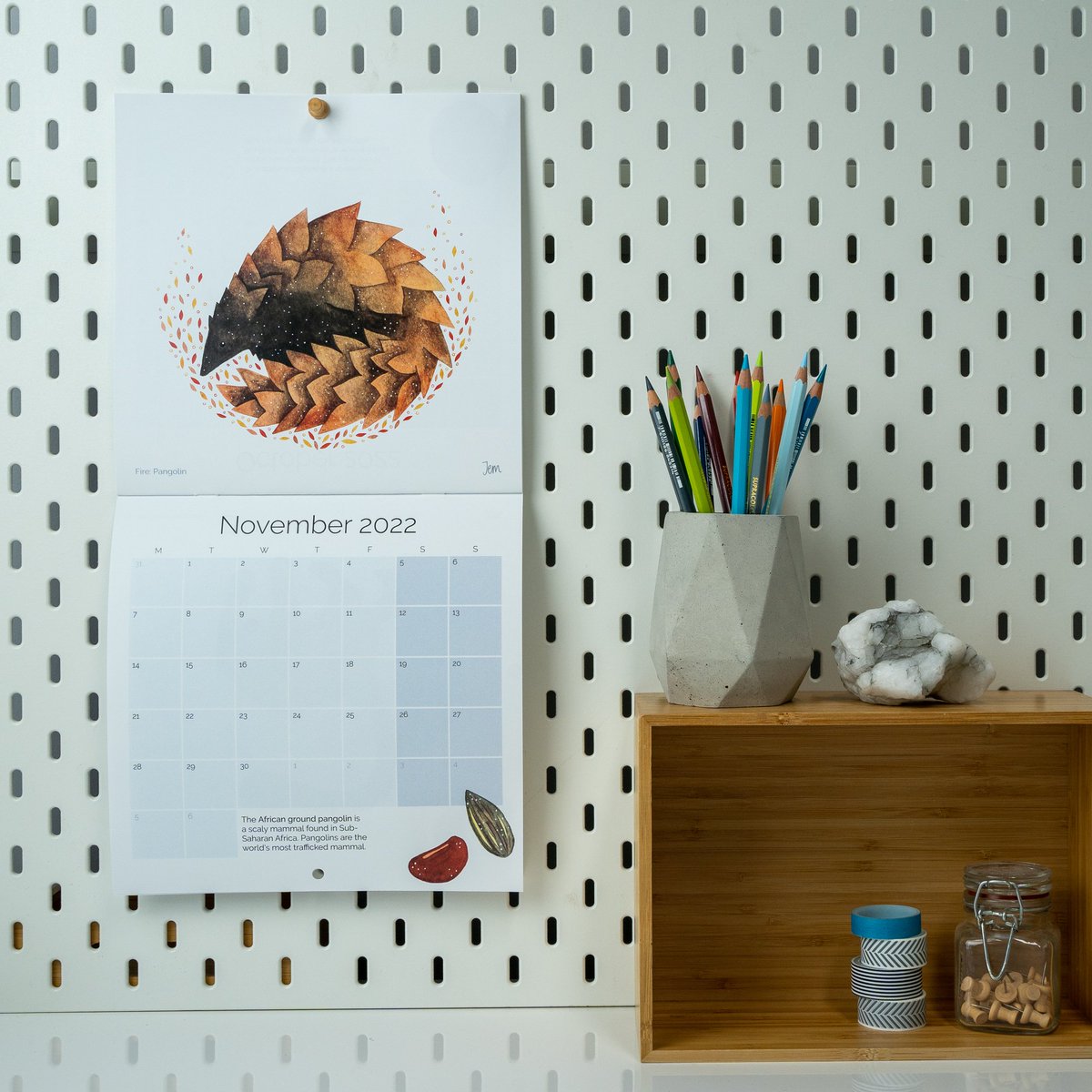 Hello November 👋🏻
Turning over my calendar to this handsome pangolin and the beginning of the small business silly season. Part of me wants to curl up into a little ball like this dude, but the rest of me is ready to get out there and show off some of my new work.