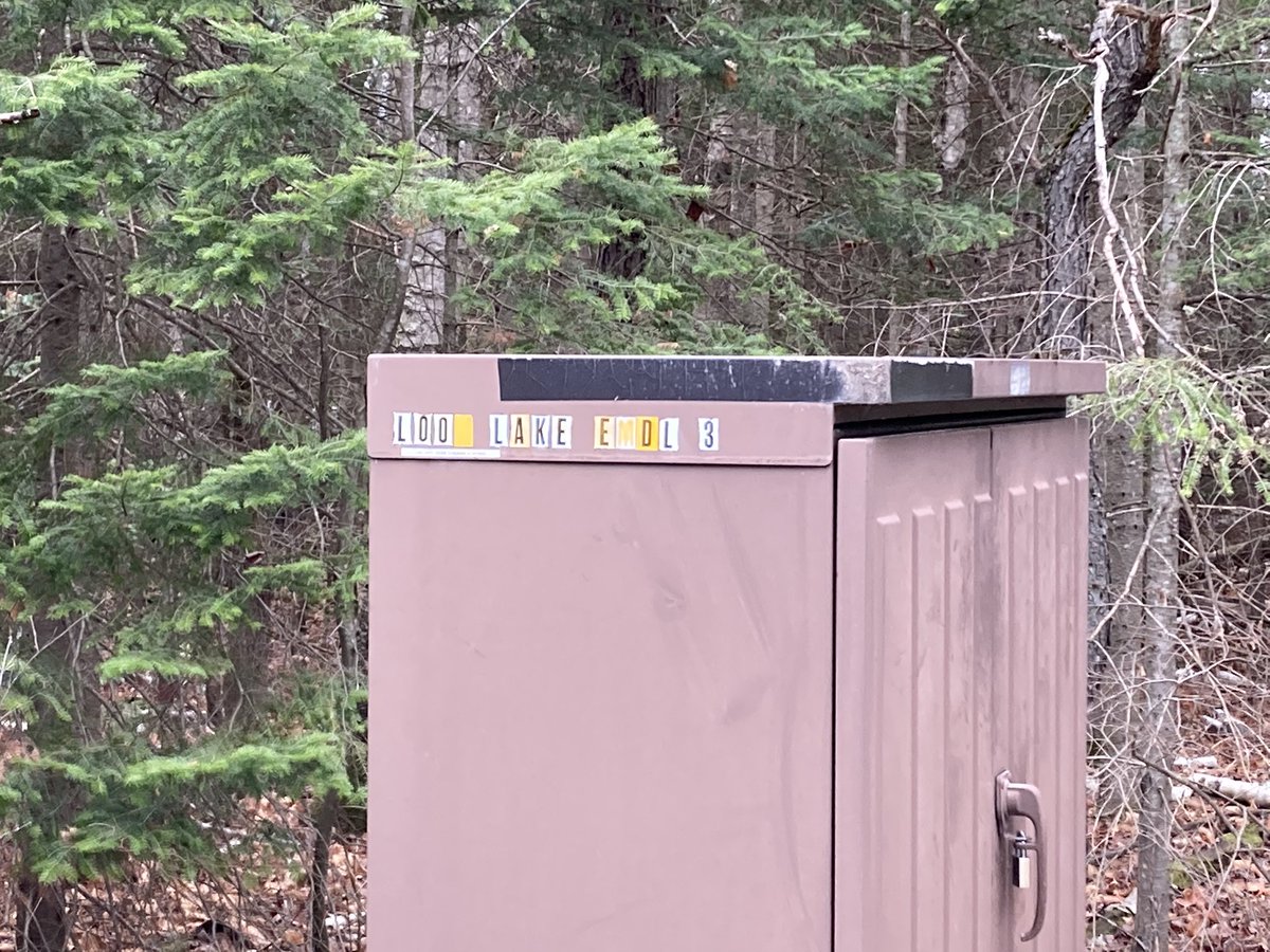 clearcable's tweet image. Hey @Bell “Fibre to the Forest” down!