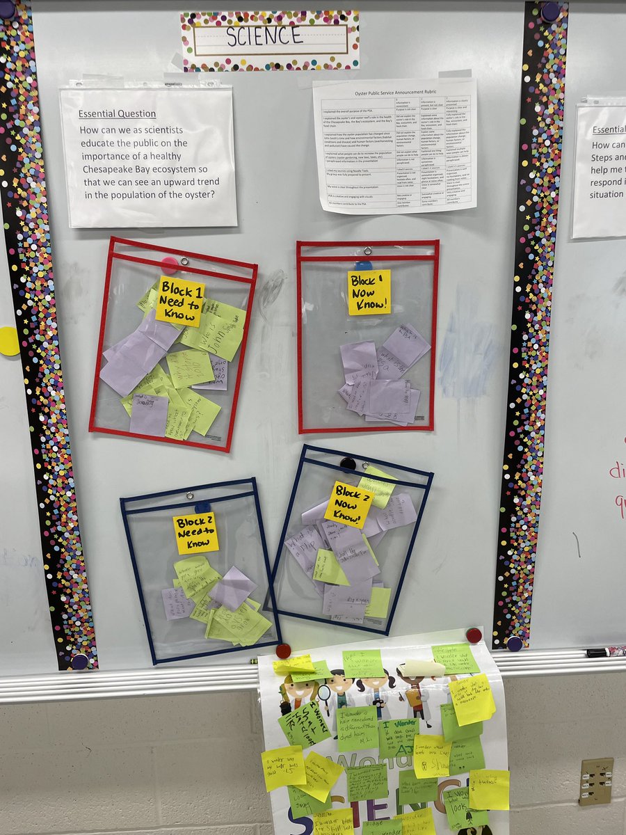 CalvertSS's tweet image. Ms. Braden's 5th Grade scientists at SLES are in the research phase of their PBL unit on the Chesapeake Bay Ecosystem!  They’ve become "Food Chain Experts" to produce Healthy Bay Ecosystem PSAs to educate the community.