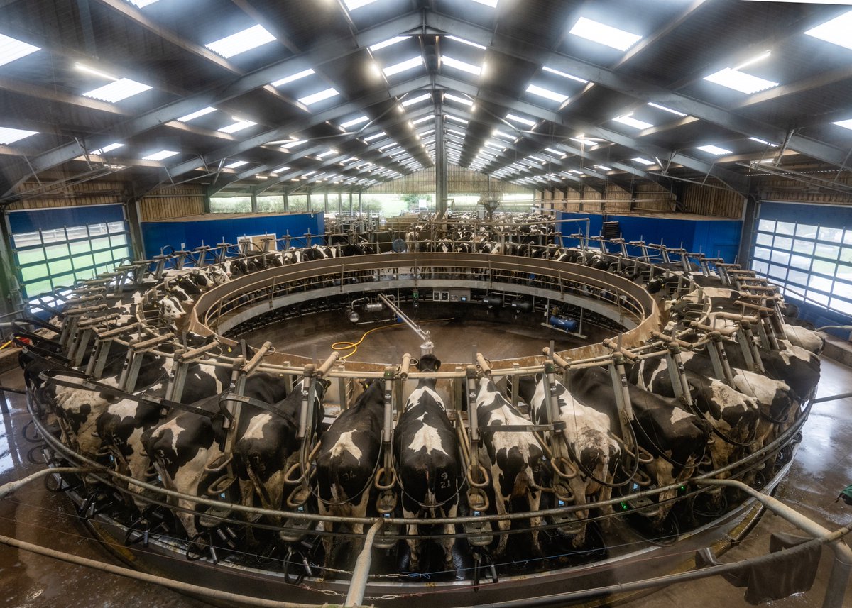 #fortyfarms Beckside Farm Naysayers could do worse than visit Beckside, where 29-year-old Patrick Morris-Eyton and his family are spearheading a quiet revolution in data-driven, green energy-fuelled dairy farming centred on one of the world’s most advanced milking systems.