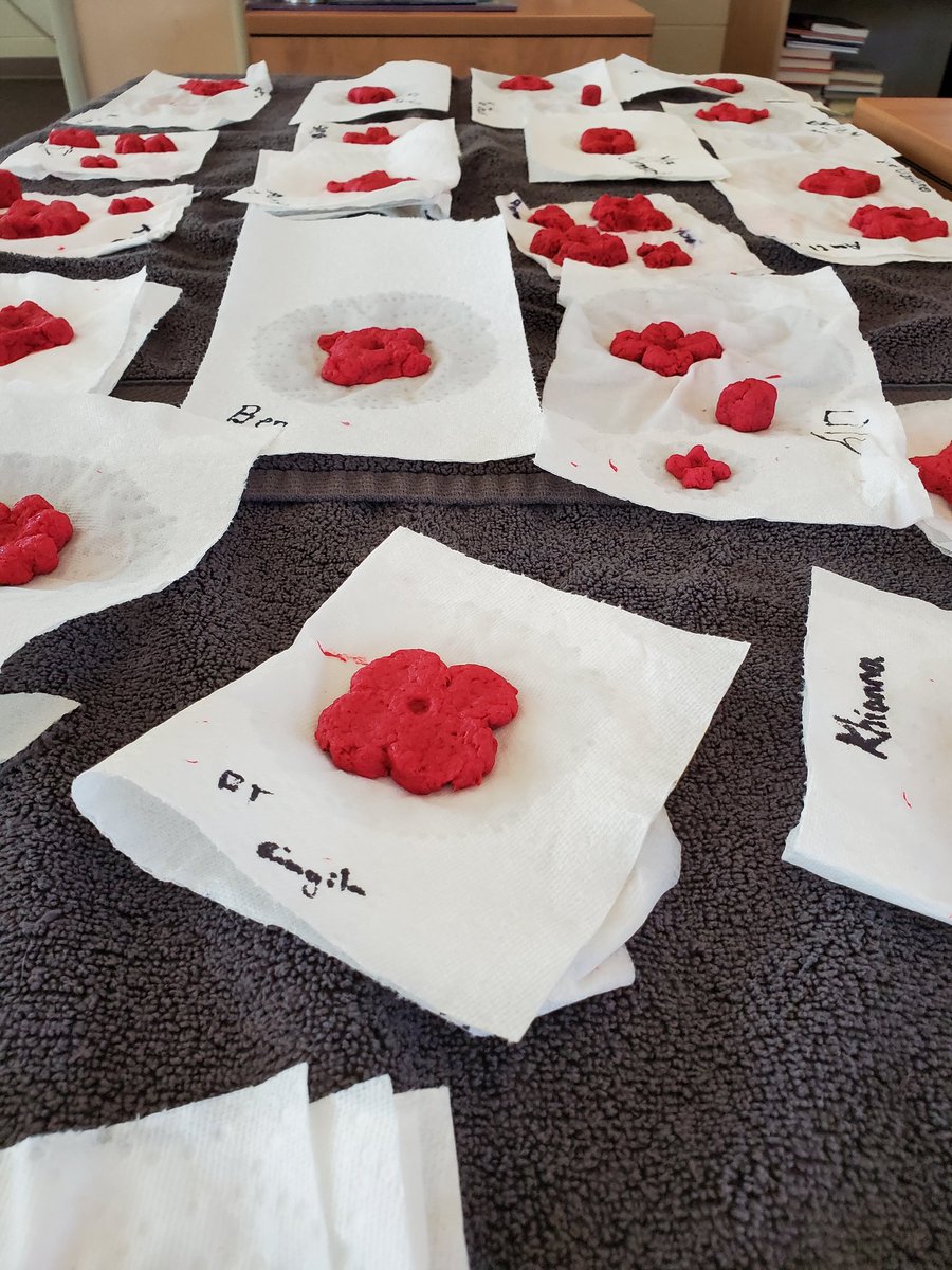 Sharon Clements (@classroomcanuck) on Twitter photo Phase 1 of the Sustainable Poppy Project with <a href="/heathermac_19/">Heather MacLean</a> and her Grade 8 <a href="/MWrightMustangs/">MaryWrightPS</a> is complete! Thank you to <a href="/FanshaweCollege/">fanshawecollege</a> & the Canadian Legion for creating such an amazing opportunity, and <a href="/DanielleHolds16/">Danielle Holdsworth</a> for organizing this project. #MustangMakers Phase 1 of the Sustainable Poppy Project with <a href="/heathermac_19/">Heather MacLean</a> and her Grade 8 <a href="/MWrightMustangs/">MaryWrightPS</a> is complete! Thank you to <a href="/FanshaweCollege/">fanshawecollege</a> & the Canadian Legion for creating such an amazing opportunity, and <a href="/DanielleHolds16/">Danielle Holdsworth</a> for organizing this project. #MustangMakers