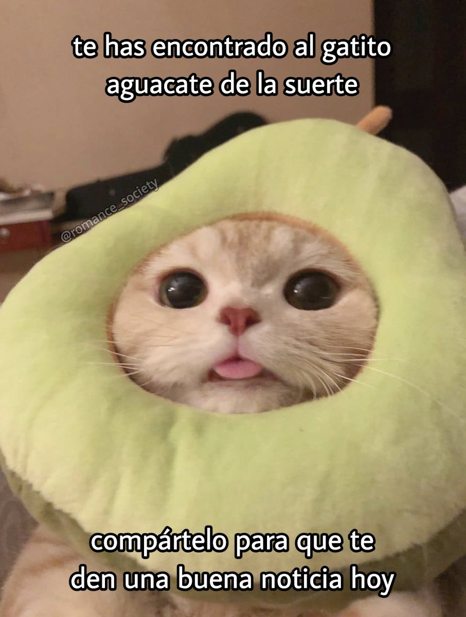 Romance Society (@romance_society) on Twitter photo 