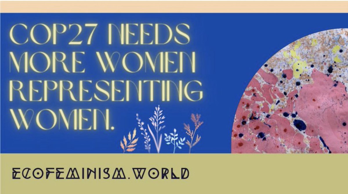 ecofemworld's tweet image. #COP27 #ecofeminism #climatejustice #genderjustice #intersectionalfeminism #feministeconomics #degrowth #postgrowth #systemschange #LossAndDamage