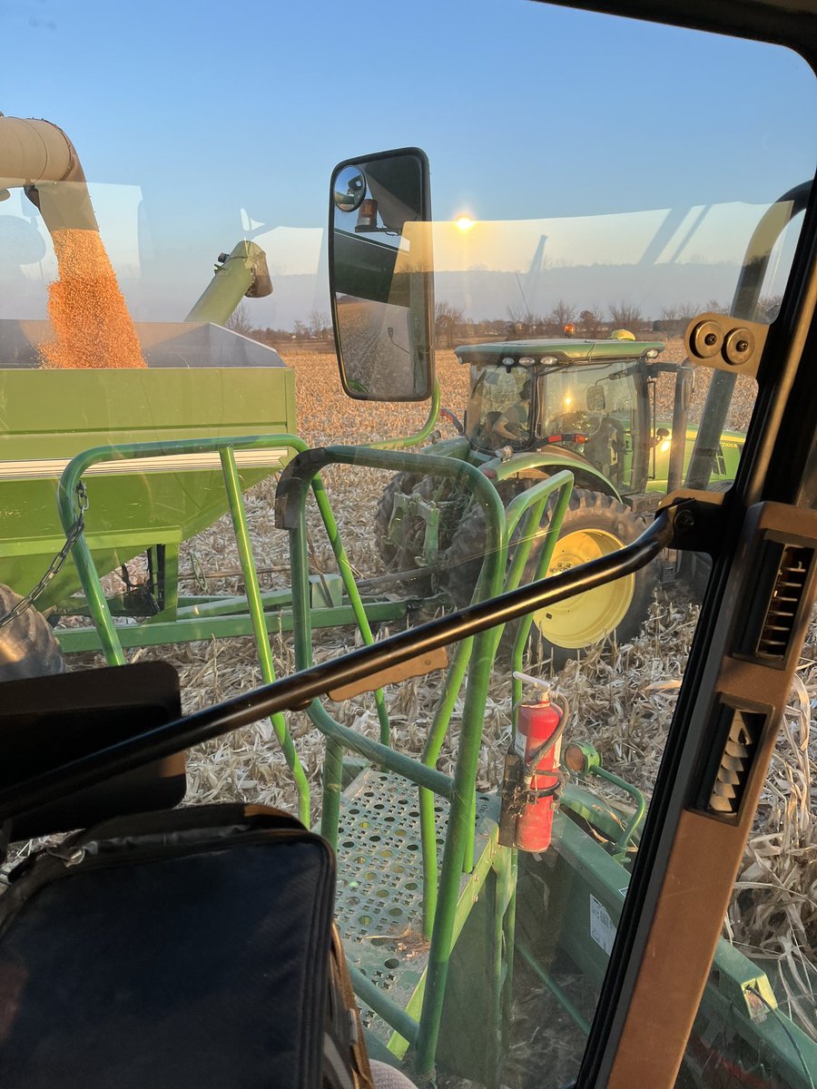 Shellin corn on November 1st in a tshirt ,gota love this weather