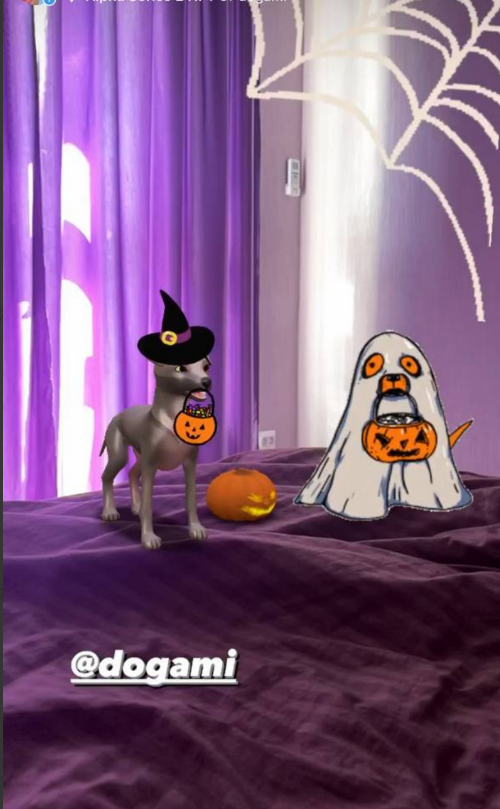 RedW | 🦴 DOGA tweet media