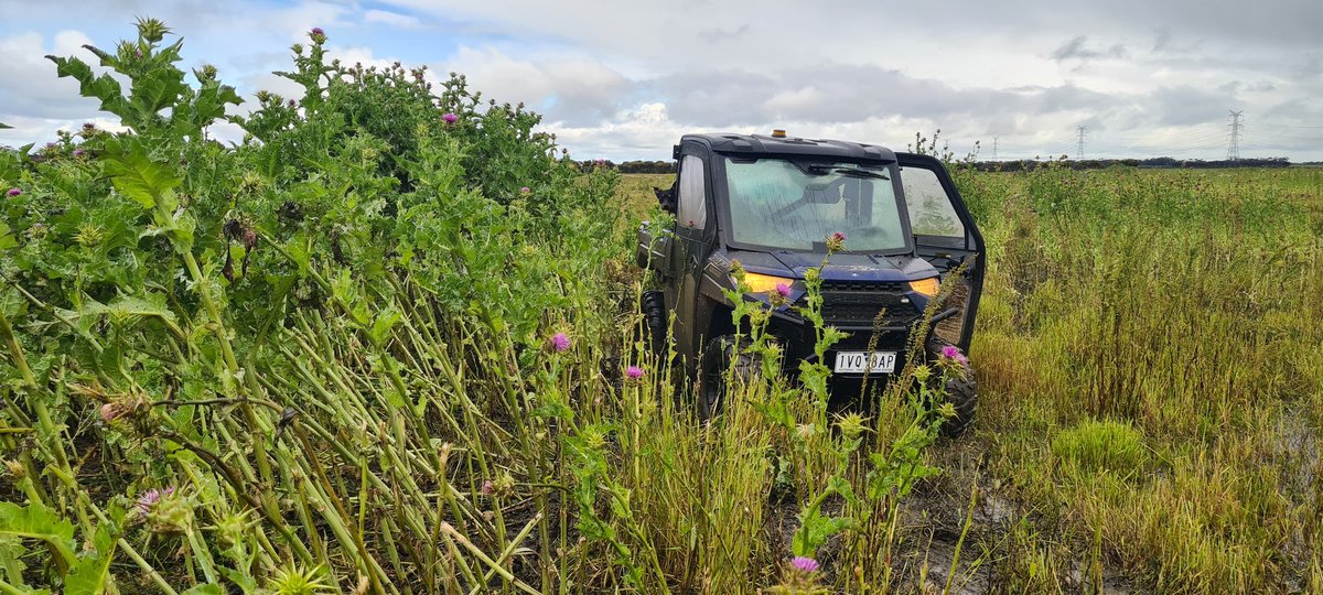 Russell Coad tweet media