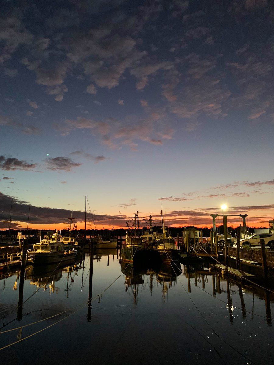 bircheezy tweet media