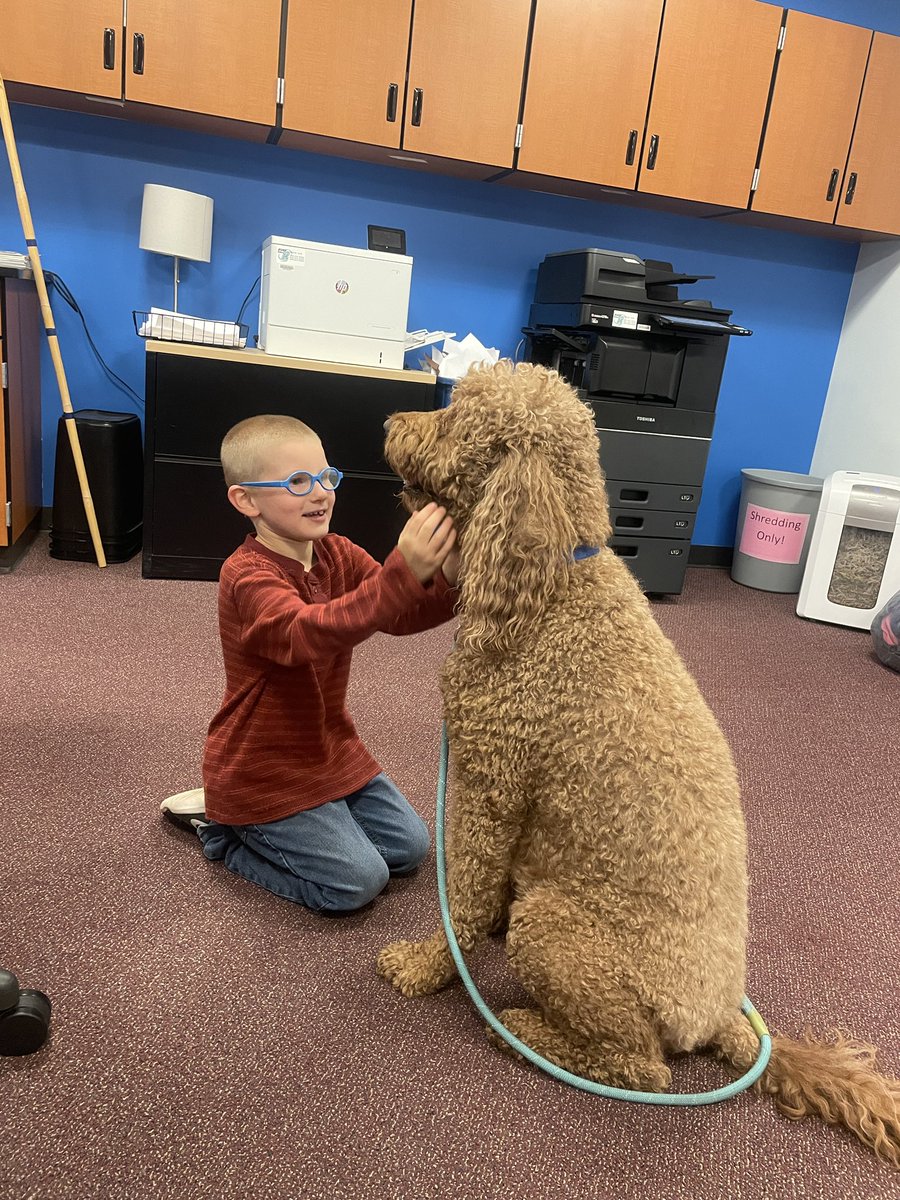 I love pets at school.  I make everything a little bit better.  #schooldog #therapydog #school #elementary #Proud2bMPS