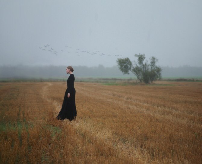 Ina de Bree tweet media