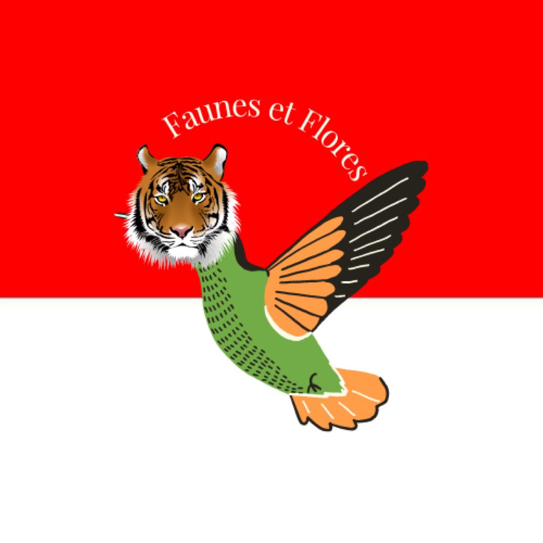 Listenbourg Faunes et Flores tweet media