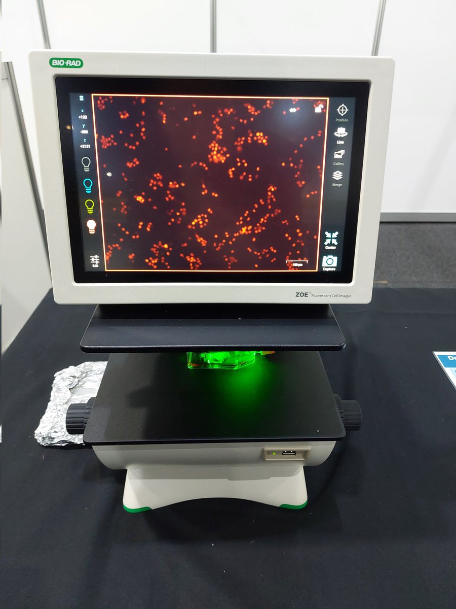 Alison Roennfeldt (@aliroennfeldt) on Twitter photo If you want to see some funky fluorescent cells and learn about our drug screening systems, come visit <a href="/tpallen131/">Timothy Allen</a> and myself at #Ingenuity today at the Adelaide Convention Centre! <a href="/UofA_SET/">Faculty of Sciences, Engineering and Technology</a> If you want to see some funky fluorescent cells and learn about our drug screening systems, come visit <a href="/tpallen131/">Timothy Allen</a> and myself at #Ingenuity today at the Adelaide Convention Centre! <a href="/UofA_SET/">Faculty of Sciences, Engineering and Technology</a>