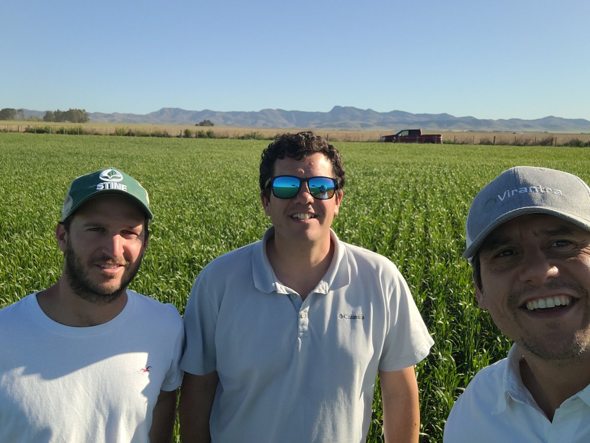 FerMurilloLT's tweet photo. 💯 Paisajes y Placeres del campo!! Esta vez más al sur de nuestra querida provincia con el Equipo de Tomas Hnos.!
Ensayo de estrategias de Manejo de Enfermedades en Cebada y Bioestimulantes en Trigo! @Syngenta_ar @gonzaheintz @Mati_flores22
#miravistriplepack
#yieldon https://t.co/JUxJOUb3Gd
