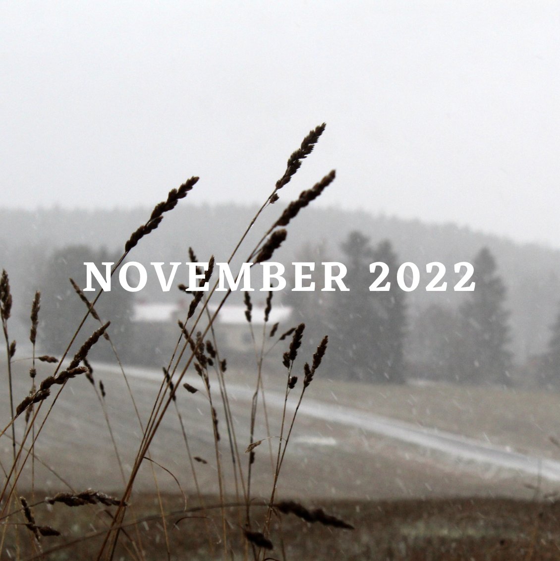 November is here... winter is coming! ❄️️ - mailchi.mp/3be9df0d074b/l…