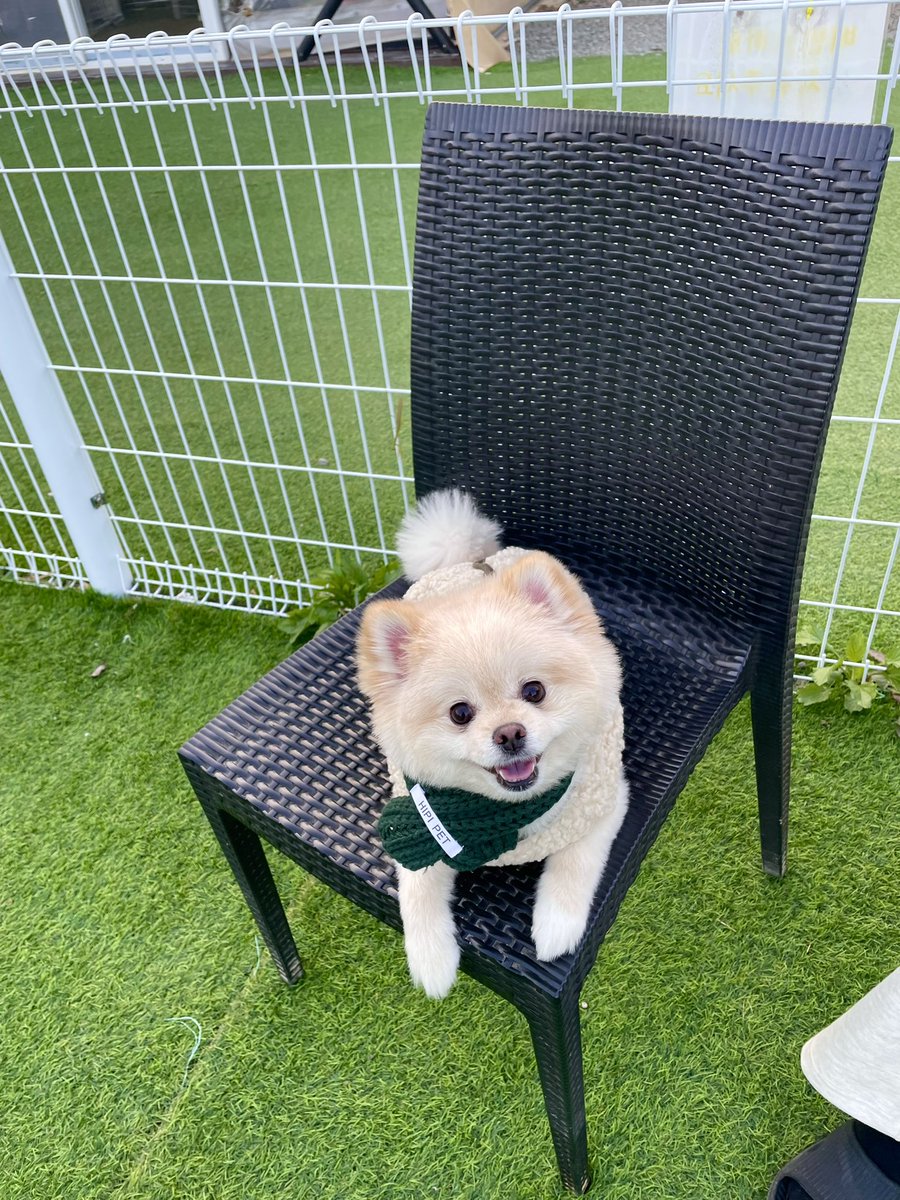 친구랑 여름이 데리고 애견 글램핑쟝❤️