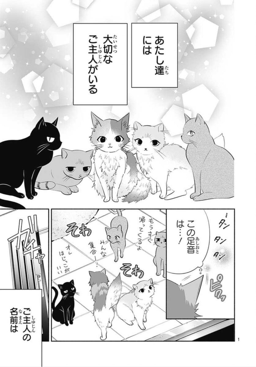 【お知らせ】
今日発売のりぼん12月号にて
『ねことあまつき。』16p掲載して頂いてます🐈
天月さんの飼い猫ちゃん達目線のお話になります
よろしくお願いします✨ 