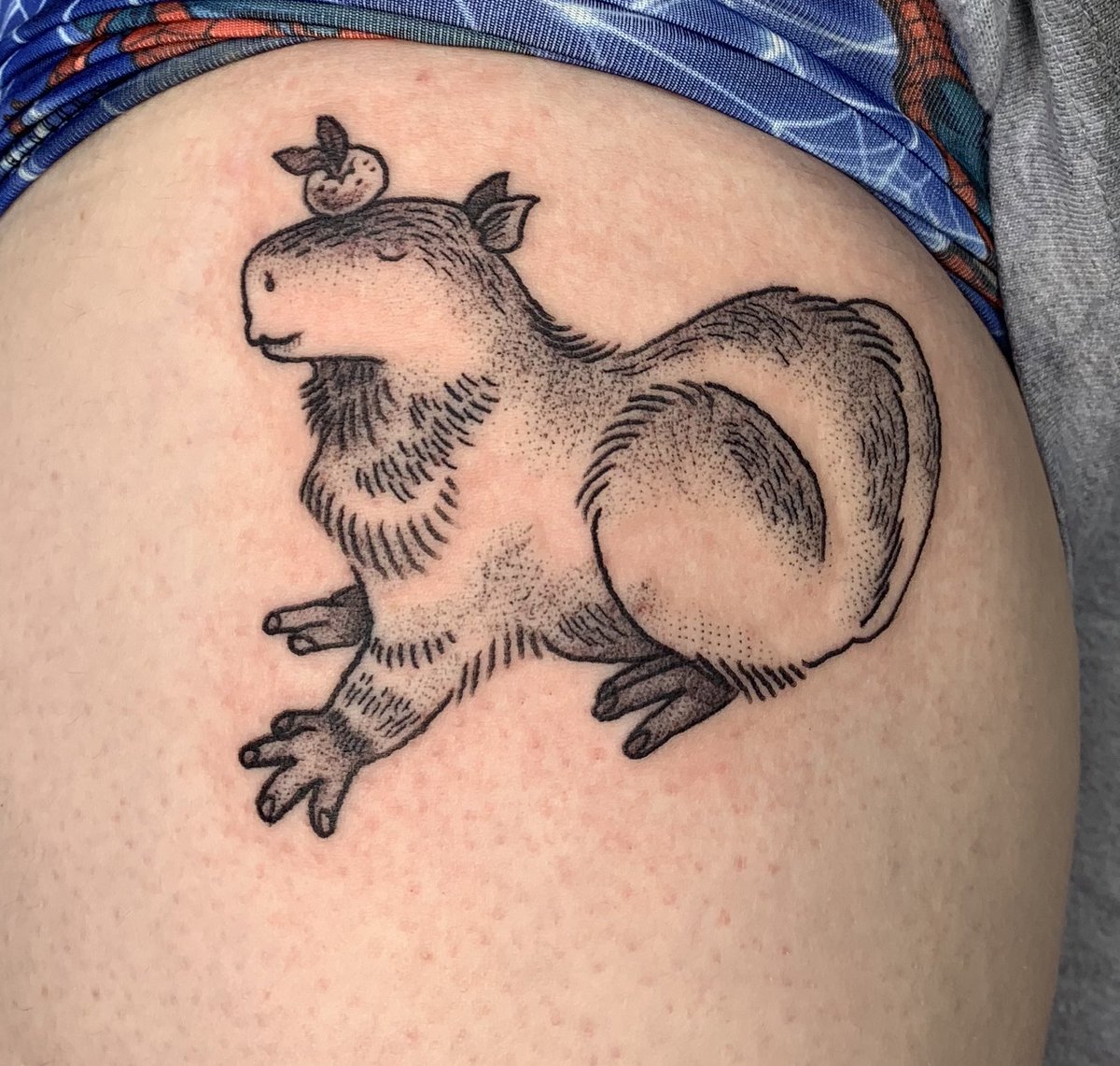 acornkin's tweet photo. this capybara i did today is so cute......she named him melvin and tipped me in homemade goose earrings i am living the dream https://t.co/HULMsZSI5H