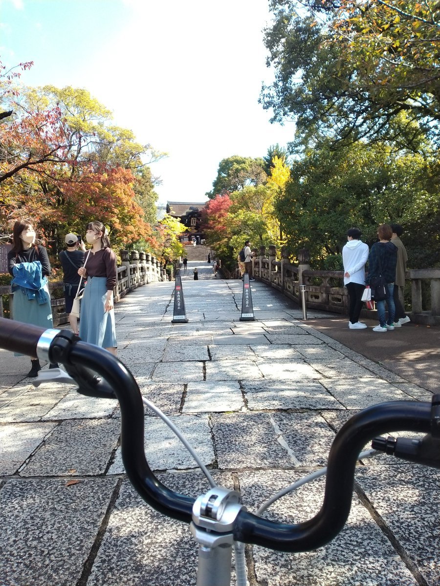 asari_asaru's tweet photo. 京都市内けっこう紅葉してます https://t.co/64mFeIdIq0