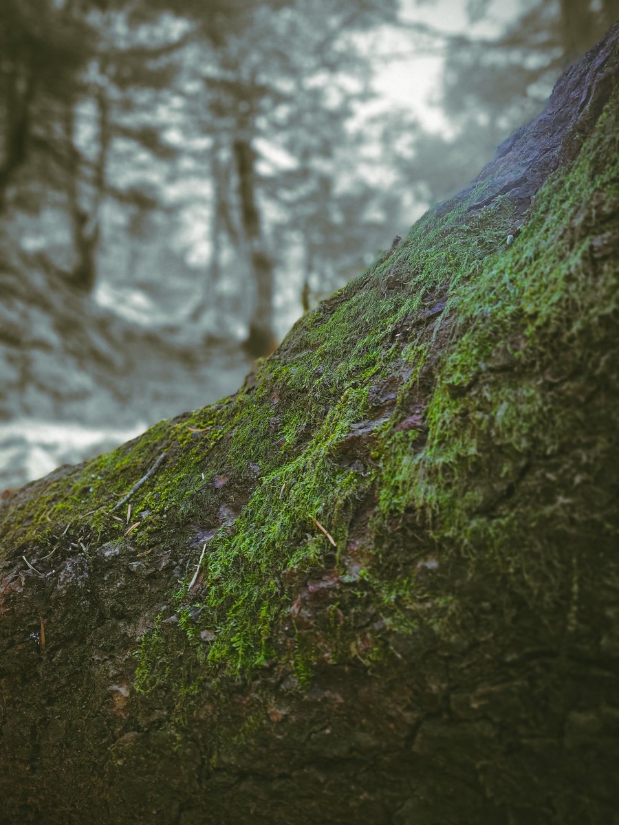 DeeAfterJay's tweet photo. Hey, anyone care about these #nature pics? https://t.co/4NyLOBfEI7