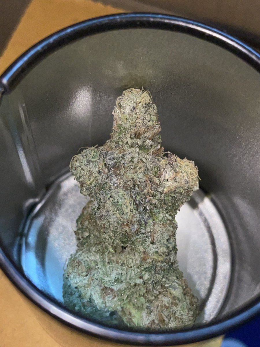 CCT MisterThree tweet media