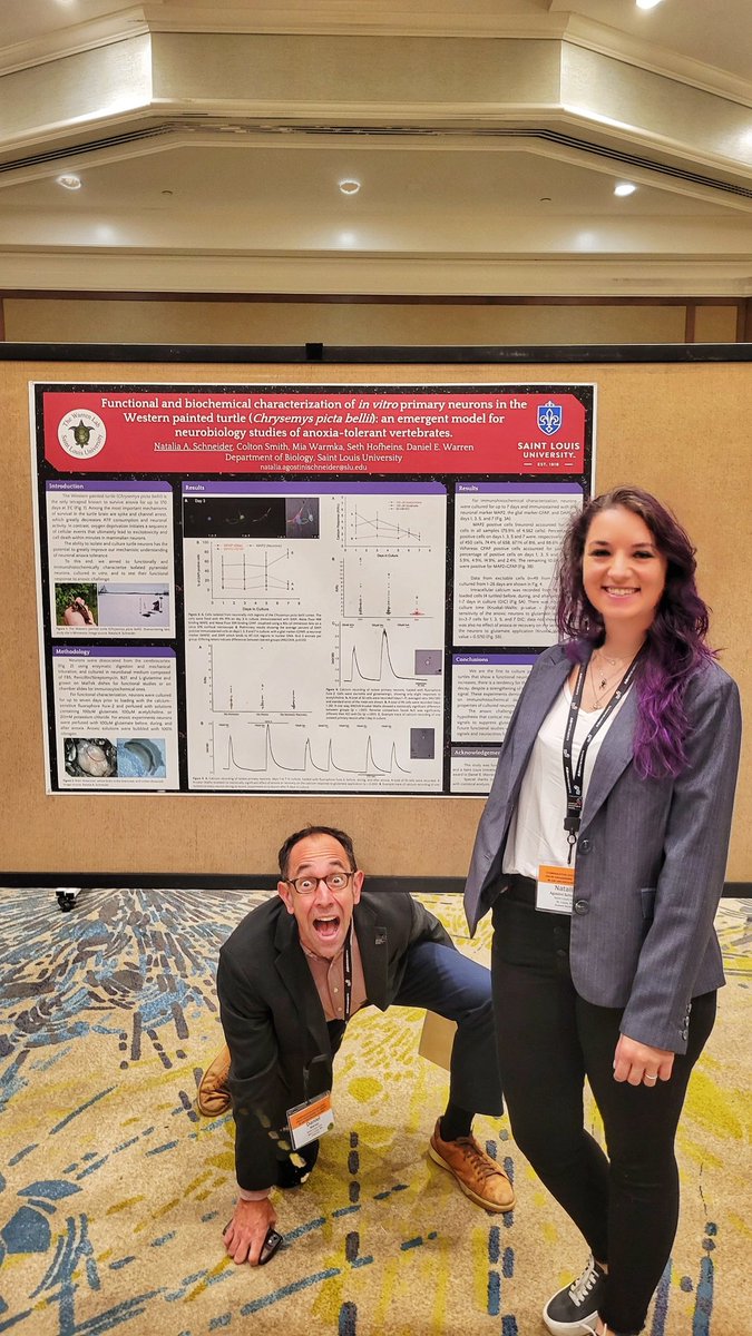 SchneiderNAS's tweet image. As you can see, the Warren Lab had a blast at #Comparative2022 ! We love talking about turtles! 🐢 

Congrats, once again, @SLUCompPhys for the amazing job at organizing @APS_CEPS meeting!