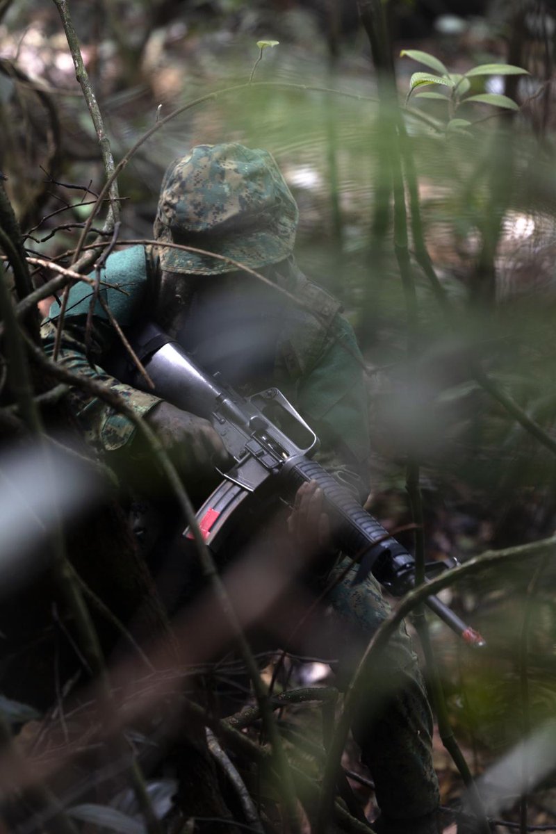 USPACOM's tweet photo. .@PacificMarines and #RBLF personnel conduct close target reconnaissance during #CARATBrunei2022. ๐บ๐ธโ๐ง๐ณ #FreeAndOpenIndoPacific
๐ธ: Sgt. Ryan H. Pulliam https://t.co/mkvCq6AbCt