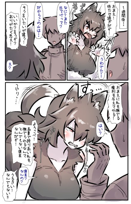 めちゃくちゃヒト嫌いで威嚇してくるけど早くも瓦解してきたオオカミちゃん⑤ 