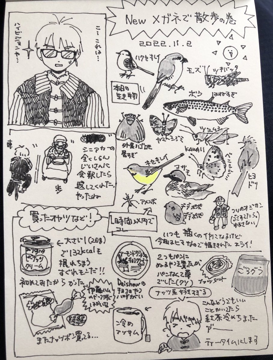 散歩日記(出会った生き物全部描いた🥵) 